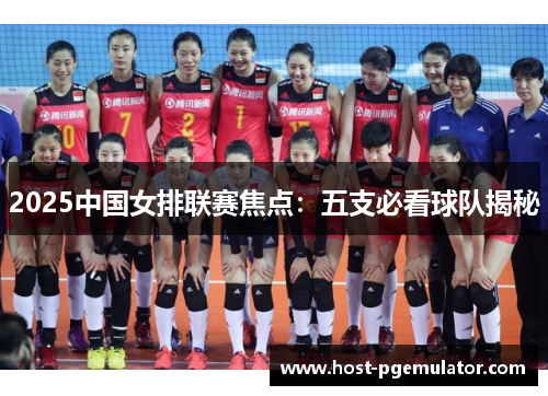 2025中国女排联赛焦点：五支必看球队揭秘