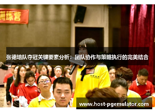 张德培队夺冠关键要素分析：团队协作与策略执行的完美结合