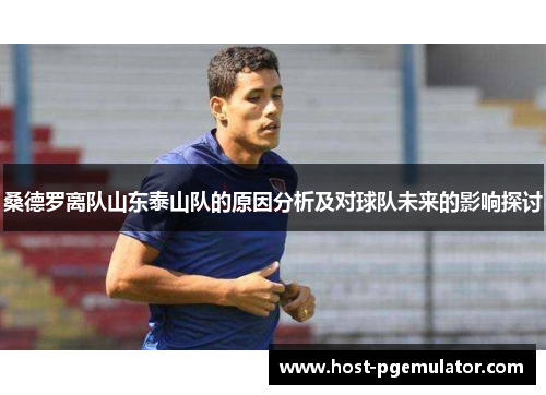 桑德罗离队山东泰山队的原因分析及对球队未来的影响探讨 桑德罗离队山东泰山队的原因分析及对球队未来的影响探讨