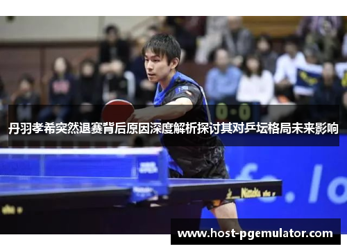 丹羽孝希突然退赛背后原因深度解析探讨其对乒坛格局未来影响