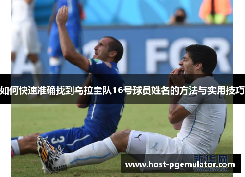 如何快速准确找到乌拉圭队16号球员姓名的方法与实用技巧