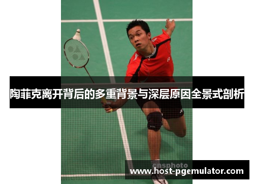 陶菲克离开背后的多重背景与深层原因全景式剖析