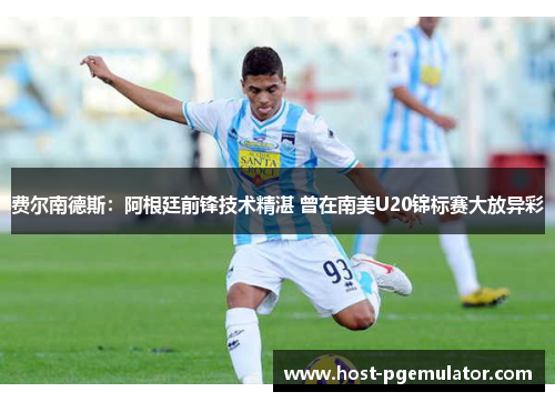 费尔南德斯：阿根廷前锋技术精湛 曾在南美U20锦标赛大放异彩