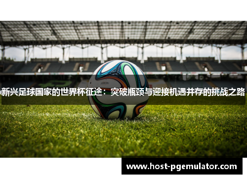 新兴足球国家的世界杯征途：突破瓶颈与迎接机遇并存的挑战之路